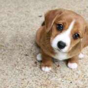 ヒメ日記 2025/03/29 19:00 投稿 なお ファンタジー福島店～福島でデリヘルもメンズエステも楽しめる素敵なお店～