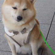 ヒメ日記 2025/04/05 00:30 投稿 なお ファンタジー福島店～福島でデリヘルもメンズエステも楽しめる素敵なお店～