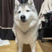 ヒメ日記 2025/04/10 07:00 投稿 なお ファンタジー福島店～福島でデリヘルもメンズエステも楽しめる素敵なお店～