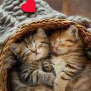 ヒメ日記 2025/04/29 09:40 投稿 なお ファンタジー福島店～福島でデリヘルもメンズエステも楽しめる素敵なお店～