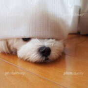 ヒメ日記 2025/04/30 00:10 投稿 なお ファンタジー福島店～福島でデリヘルもメンズエステも楽しめる素敵なお店～