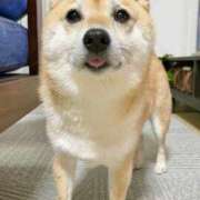 ヒメ日記 2025/05/02 09:00 投稿 なお ファンタジー福島店～福島でデリヘルもメンズエステも楽しめる素敵なお店～