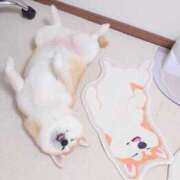 ヒメ日記 2025/05/09 07:30 投稿 なお ファンタジー福島店～福島でデリヘルもメンズエステも楽しめる素敵なお店～