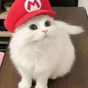 ヒメ日記 2025/05/14 08:40 投稿 なお ファンタジー福島店～福島でデリヘルもメンズエステも楽しめる素敵なお店～