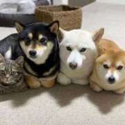 ヒメ日記 2025/05/20 09:20 投稿 なお ファンタジー福島店～福島でデリヘルもメンズエステも楽しめる素敵なお店～