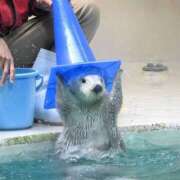 ヒメ日記 2025/05/21 09:00 投稿 なお ファンタジー福島店～福島でデリヘルもメンズエステも楽しめる素敵なお店～