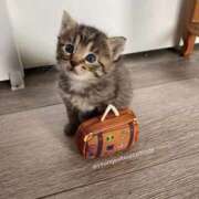 ヒメ日記 2025/06/05 20:40 投稿 なお ファンタジー福島店～福島でデリヘルもメンズエステも楽しめる素敵なお店～