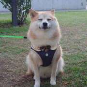 ヒメ日記 2025/06/19 07:00 投稿 なお ファンタジー福島店～福島でデリヘルもメンズエステも楽しめる素敵なお店～