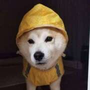 ヒメ日記 2025/07/15 09:20 投稿 なお ファンタジー福島店～福島でデリヘルもメンズエステも楽しめる素敵なお店～