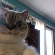 ヒメ日記 2025/07/29 18:50 投稿 なお ファンタジー福島店～福島でデリヘルもメンズエステも楽しめる素敵なお店～