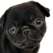 ヒメ日記 2025/08/09 10:20 投稿 なお ファンタジー福島店～福島でデリヘルもメンズエステも楽しめる素敵なお店～