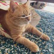 ヒメ日記 2025/08/19 17:40 投稿 なお ファンタジー福島店～福島でデリヘルもメンズエステも楽しめる素敵なお店～