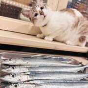 ヒメ日記 2025/08/22 18:50 投稿 なお ファンタジー福島店～福島でデリヘルもメンズエステも楽しめる素敵なお店～