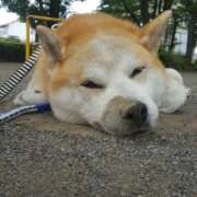 ヒメ日記 2025/08/26 14:00 投稿 なお ファンタジー福島店～福島でデリヘルもメンズエステも楽しめる素敵なお店～