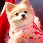 ヒメ日記 2025/09/10 06:20 投稿 なお ファンタジー福島店～福島でデリヘルもメンズエステも楽しめる素敵なお店～