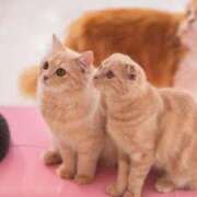 ヒメ日記 2025/09/11 20:00 投稿 なお ファンタジー福島店～福島でデリヘルもメンズエステも楽しめる素敵なお店～