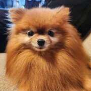 ヒメ日記 2025/09/13 00:20 投稿 なお ファンタジー福島店～福島でデリヘルもメンズエステも楽しめる素敵なお店～