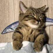 ヒメ日記 2025/09/18 17:00 投稿 なお ファンタジー福島店～福島でデリヘルもメンズエステも楽しめる素敵なお店～