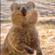 ヒメ日記 2025/10/07 08:50 投稿 なお ファンタジー福島店～福島でデリヘルもメンズエステも楽しめる素敵なお店～