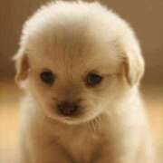 ヒメ日記 2025/10/10 09:00 投稿 なお ファンタジー福島店～福島でデリヘルもメンズエステも楽しめる素敵なお店～