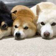 ヒメ日記 2025/10/15 08:00 投稿 なお ファンタジー福島店～福島でデリヘルもメンズエステも楽しめる素敵なお店～