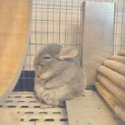 ヒメ日記 2025/10/30 08:50 投稿 なお ファンタジー福島店～福島でデリヘルもメンズエステも楽しめる素敵なお店～