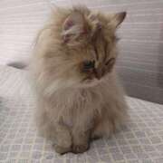 ヒメ日記 2025/11/04 10:10 投稿 なお ファンタジー福島店～福島でデリヘルもメンズエステも楽しめる素敵なお店～