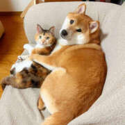 ヒメ日記 2025/11/21 08:30 投稿 なお ファンタジー福島店～福島でデリヘルもメンズエステも楽しめる素敵なお店～