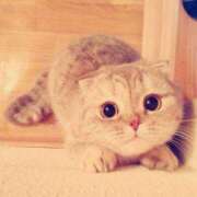 ヒメ日記 2025/11/26 07:40 投稿 なお ファンタジー福島店～福島でデリヘルもメンズエステも楽しめる素敵なお店～