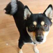 ヒメ日記 2025/11/28 08:40 投稿 なお ファンタジー福島店～福島でデリヘルもメンズエステも楽しめる素敵なお店～