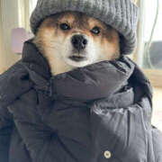 ヒメ日記 2025/12/19 08:20 投稿 なお ファンタジー福島店～福島でデリヘルもメンズエステも楽しめる素敵なお店～