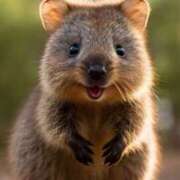 ヒメ日記 2025/12/23 12:20 投稿 なお ファンタジー福島店～福島でデリヘルもメンズエステも楽しめる素敵なお店～