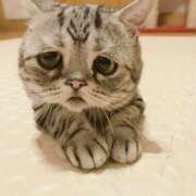 ヒメ日記 2026/01/03 12:00 投稿 なお ファンタジー福島店～福島でデリヘルもメンズエステも楽しめる素敵なお店～