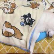 ヒメ日記 2026/01/07 06:50 投稿 なお ファンタジー福島店～福島でデリヘルもメンズエステも楽しめる素敵なお店～