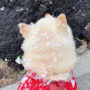 ヒメ日記 2026/01/09 08:50 投稿 なお ファンタジー福島店～福島でデリヘルもメンズエステも楽しめる素敵なお店～