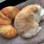 ヒメ日記 2026/01/20 08:40 投稿 なお ファンタジー福島店～福島でデリヘルもメンズエステも楽しめる素敵なお店～