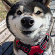 ヒメ日記 2026/01/25 08:30 投稿 なお ファンタジー福島店～福島でデリヘルもメンズエステも楽しめる素敵なお店～