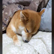 ヒメ日記 2026/02/07 09:10 投稿 なお ファンタジー福島店～福島でデリヘルもメンズエステも楽しめる素敵なお店～