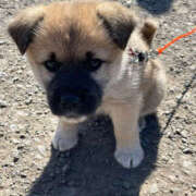 ヒメ日記 2026/02/12 14:00 投稿 なお ファンタジー福島店～福島でデリヘルもメンズエステも楽しめる素敵なお店～