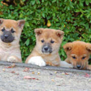 ヒメ日記 2026/02/14 14:10 投稿 なお ファンタジー福島店～福島でデリヘルもメンズエステも楽しめる素敵なお店～