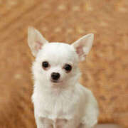 ヒメ日記 2026/02/17 08:20 投稿 なお ファンタジー福島店～福島でデリヘルもメンズエステも楽しめる素敵なお店～