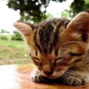 ヒメ日記 2026/02/18 08:50 投稿 なお ファンタジー福島店～福島でデリヘルもメンズエステも楽しめる素敵なお店～