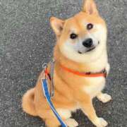 ヒメ日記 2026/02/20 08:40 投稿 なお ファンタジー福島店～福島でデリヘルもメンズエステも楽しめる素敵なお店～