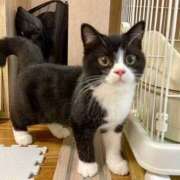 ヒメ日記 2026/02/21 09:30 投稿 なお ファンタジー福島店～福島でデリヘルもメンズエステも楽しめる素敵なお店～