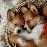 ヒメ日記 2026/02/25 08:30 投稿 なお ファンタジー福島店～福島でデリヘルもメンズエステも楽しめる素敵なお店～