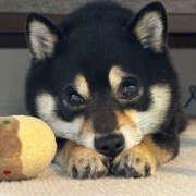 ヒメ日記 2026/03/04 20:50 投稿 なお ファンタジー福島店～福島でデリヘルもメンズエステも楽しめる素敵なお店～