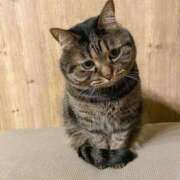 ヒメ日記 2026/03/12 08:40 投稿 なお ファンタジー福島店～福島でデリヘルもメンズエステも楽しめる素敵なお店～