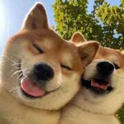 ヒメ日記 2026/03/15 19:45 投稿 なお ファンタジー福島店～福島でデリヘルもメンズエステも楽しめる素敵なお店～