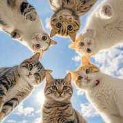 ヒメ日記 2026/03/19 07:05 投稿 なお ファンタジー福島店～福島でデリヘルもメンズエステも楽しめる素敵なお店～