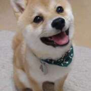 ヒメ日記 2026/03/19 23:10 投稿 なお ファンタジー福島店～福島でデリヘルもメンズエステも楽しめる素敵なお店～